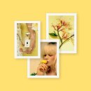 허니서클