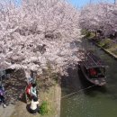 후시미2 - 벚꽃을 보고 사케의 명가 겟케이칸에 가다! 이미지