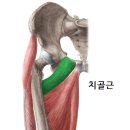 리얼핏 이미지