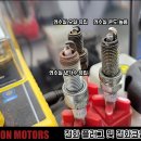 라이온모터스 이미지