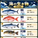 바다생물1-10 이미지