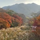 웨스턴스프링스 | 정읍 내장산 2박3일 가을 여행 코스! 아기랑 여행 완전 정복