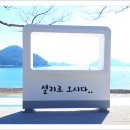찰바당 이미지