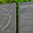 제주 신례리 왕벚나무 자생지 | 제주 신례리 왕벚나무 자생지