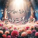 [ 하나님의 교회 | 새노래 ] 감사의 카네이션 이미지