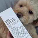 플란다스 개 | 강아지 털 엉킴 심한 포메푸 브러싱 전에 써본 플란다스의개 펫미스트 추천