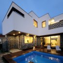 네이처러스 판포나일 이미지