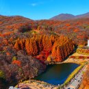 추경농장 이미지