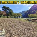 [단양토지 2,169㎡ // 5천7백만원] 두 갈래의 맑은 개울 접, 깊숙한 골짜기 청정 택지! 전기·수도·도로·(국)하천 접... 이미지