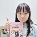 개냥이 연구소 이미지