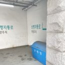 1101 어린이라운지 | 아이와 가볼만한 곳 : 예술의전당 1101 어린이라운지 세그니모시 Move & Draw 전시 후기 (주차팁, 체험)