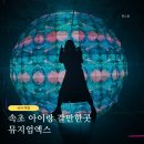 속초 아이랑 실내 갈만한곳 뮤지엄엑스 Ai 패키지