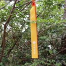 땅끝낚시터 이미지