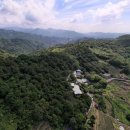 후선 농장 | 타이베이 마오콩 가는법, 입장료, 시간, 후기 꿀팁