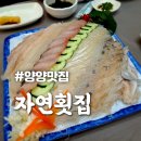 [자연횟집] 싱싱한 양양 횟집 &amp; 양양 여행 볼거리