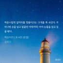 자야 되는머 연하의 맛tv가 방종을 안 함 이미지
