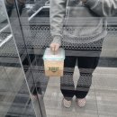 존프랭클 수원주짓수던전 이미지