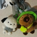 뽑기하고 갈래 이미지