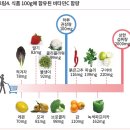 식물성 에스트로겐으로 불리는 &#39;이소플라본&#39; 갱년기에서의 영양관리 이미지