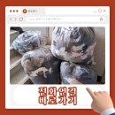 옷이야기 | 울산헌옷수거 비대면 방문 수거로 편하게 수거한 후기