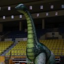 팔봉공설운동장 이미지