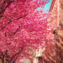 봄날 행정사사무소 이미지