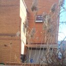 경인로1099번길 이미지