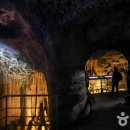 제주세계자연유산센터 세계유산전시관 이미지