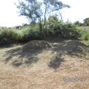 이평면사무소 이미지