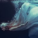 대원유니온(주) 이미지