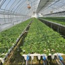 완영농장 이미지