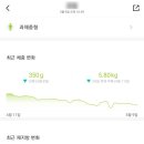 조일구내식당 | 마운자로 5주차 후기 | 누적 7kg+ 감량, 근데 식욕이 슬슬 돌아오더라고요