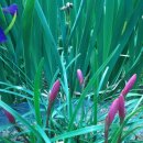 행복타이어 이미지