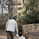 서이
