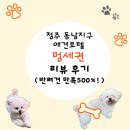 멍세권 이미지