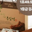 순수홍삼 이미지