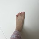 (주)세탁프리 | 출산용품 준비 코스트코 놀이방매트 추천 크림하우스 논슬립 프리폴더매트