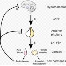 고성희한의원 이미지
