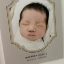 하루에스튜디오 | 하루에 스튜디오 50일 촬영 앨범 가격 수령 후기 (원본구매 X)