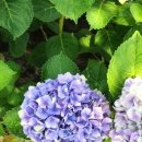 구미 다온숲화장실 이미지