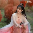 국선관 네이버블로그