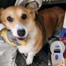 송담4로 이미지