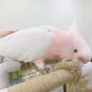 가든조류원 이미지