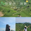 [민둥산] 한국의 알프스/정선 돌리네/최단코스 왕복 1시간 컷 정보 공유