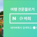 광코북성로 이미지