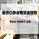 파라디아성형외과의원 네이버블로그