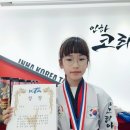 인하코리아태권도장 이미지