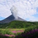 (주)반도통상 이미지