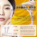 코어플러스