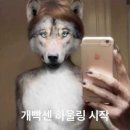 미성작은도서관 | 일주일동안학교가기싫다고천오백번정도는말한듯(02.24~03.02)
